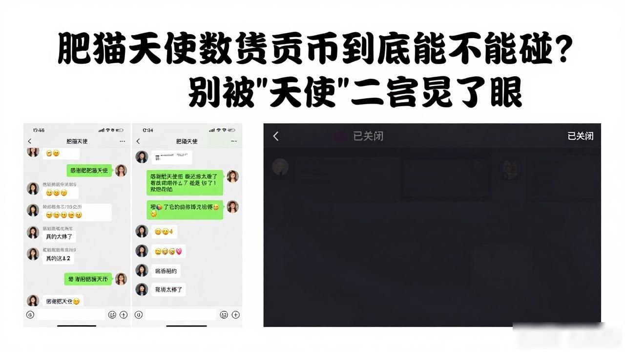 高息骗局数字货币_肥猫天使数字货币_肥猫天使骗局